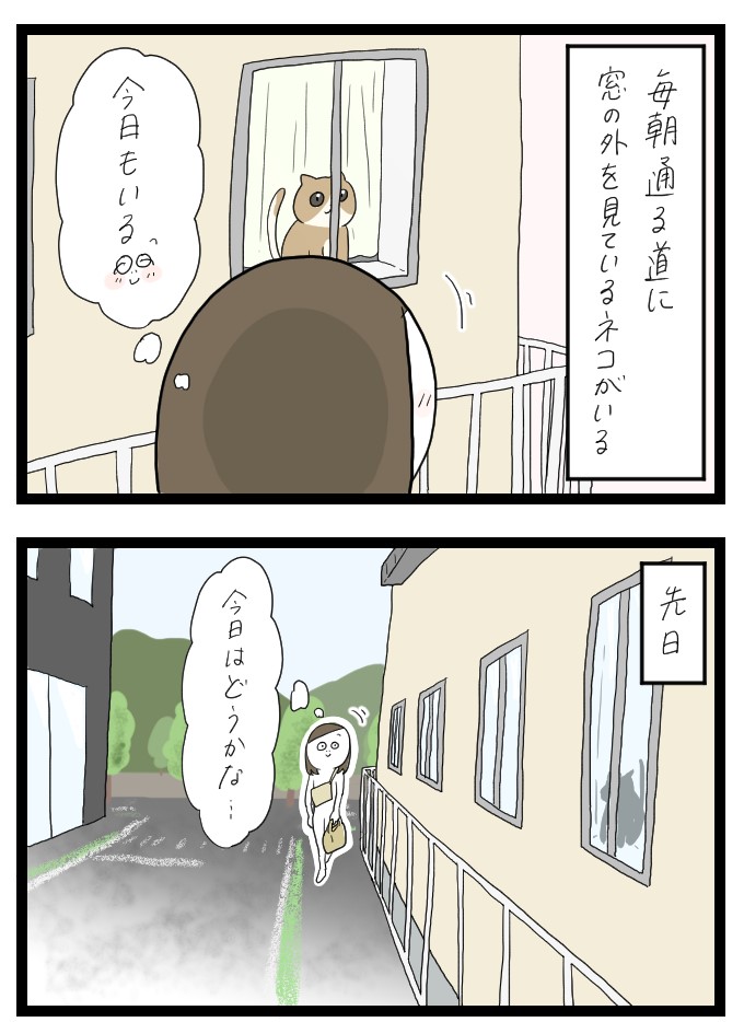 いつもいる猫１