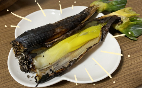 日本一うまいねぎ4