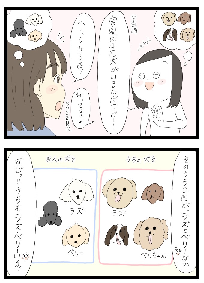 犬の名前1