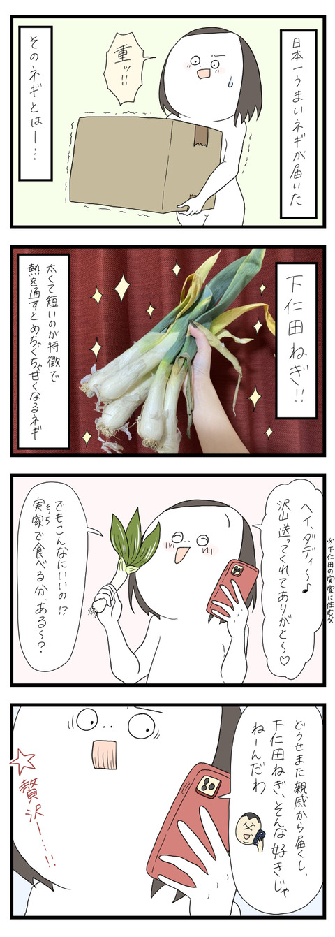 日本一うまいねぎ