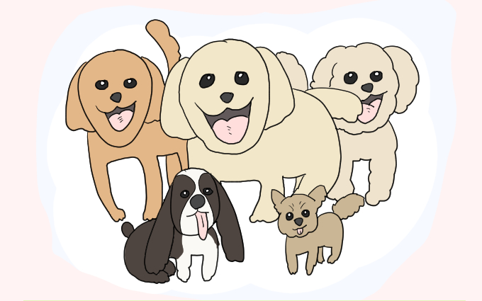 実家の犬たち