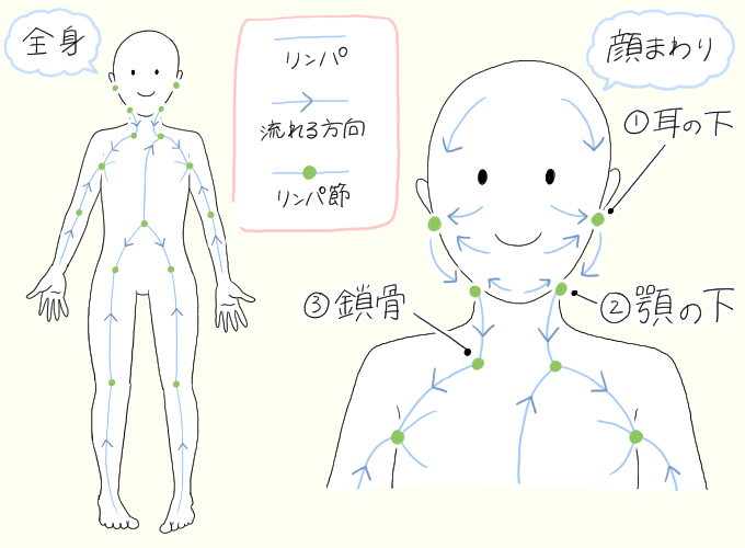 ストレッチ5-6