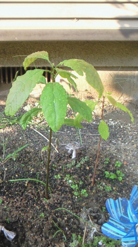 c7a5a737.jpg