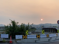 IMG_2274