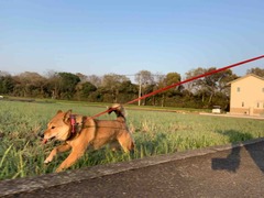 IMG_0271