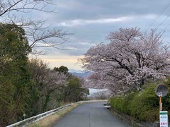 IMG_0131