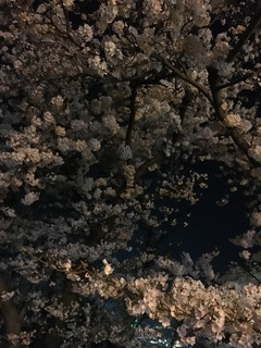 017