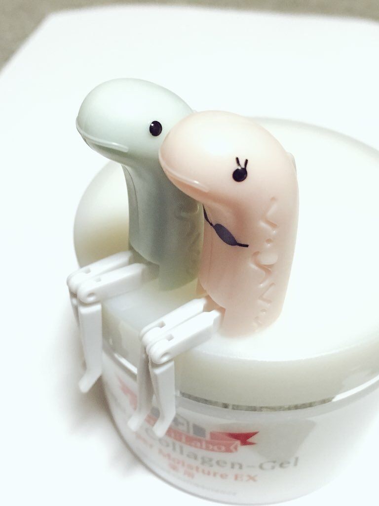 内容なし チンアナ男 チンアナ子 ゆっくりで ええんやで 内容なし チンアナ男 チンアナ子 ゆっくりで ええんやで