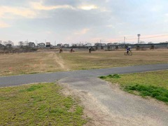 IMG_7636