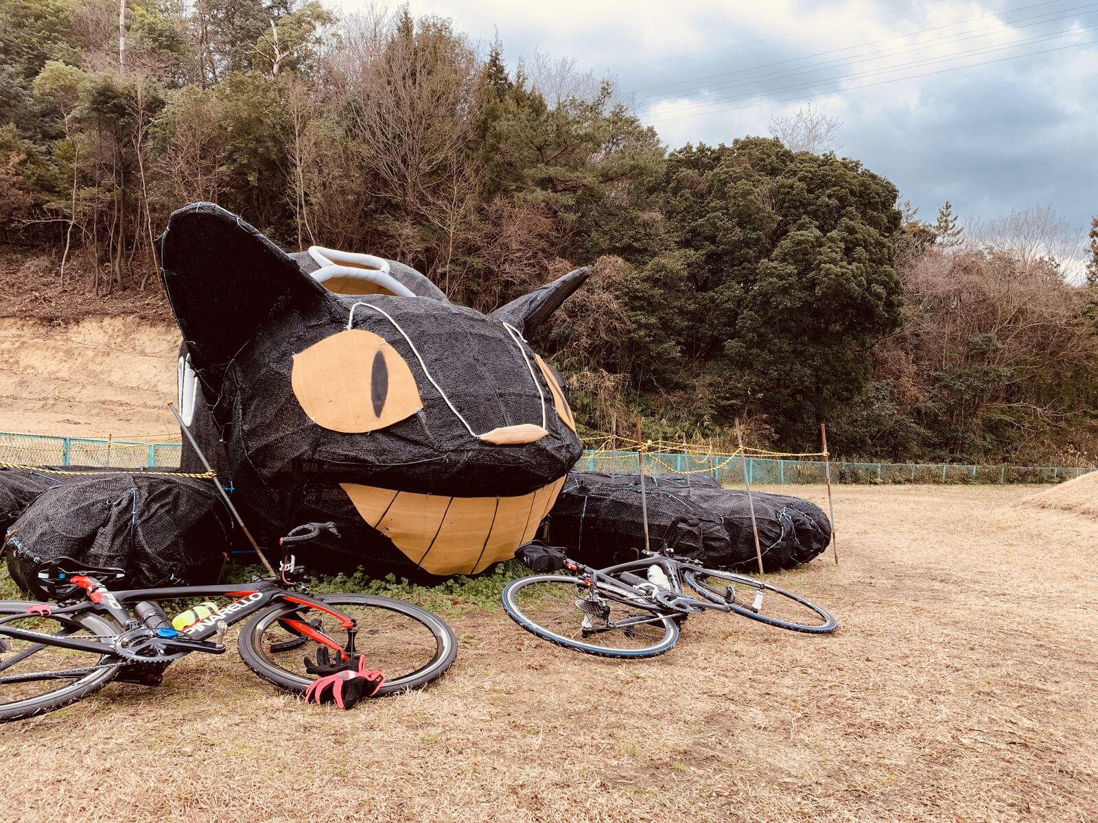 成人の日 ねこバスツアー 不思議な冒険始まる ゆっくりで ええんやで