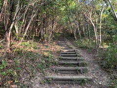 IMG_4517
