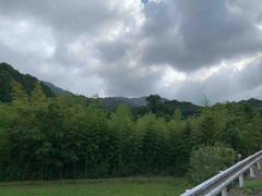 IMG_3671