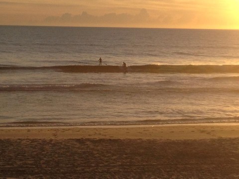 380799_305172642916136_111526302_n[1]