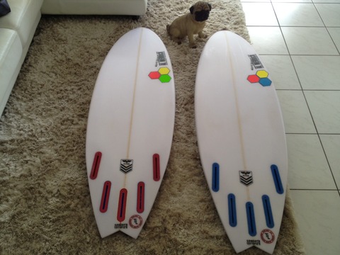 New Flyer 5'4 & 5'5 Swallow