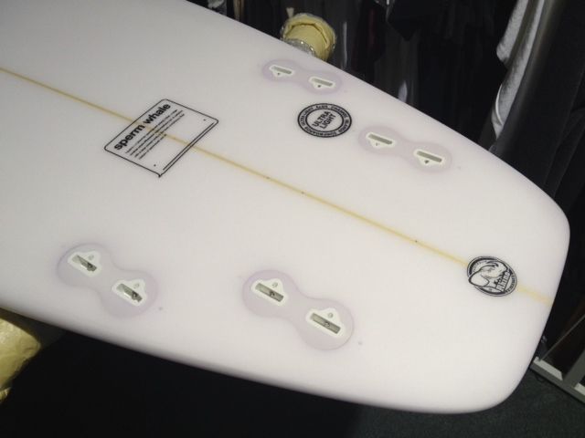 アルメリック、スパームホエール(Sperm Whale)入荷しました アルメリック、スパームホエール(Sperm Whale)入荷しました