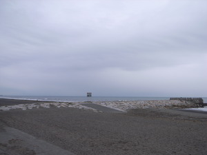 RIMG0169