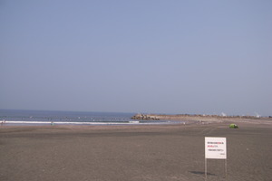 RIMG0015