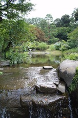 e6242384.jpg