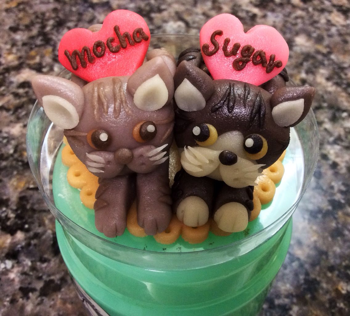 飼い猫のマジパンと和栗のタルト Rina S