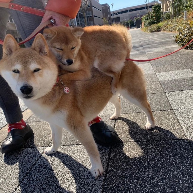 no title