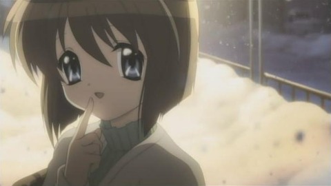 栞