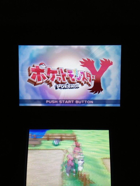 久々のポケモン