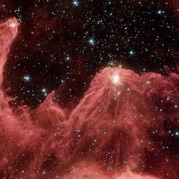 【AKB48】徳永羚海のハッピーハロウィン配信が可愛いｗ