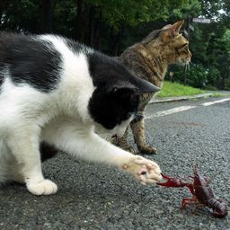 【政府】中曽根康弘氏の葬儀に9千万円、予備費から支出