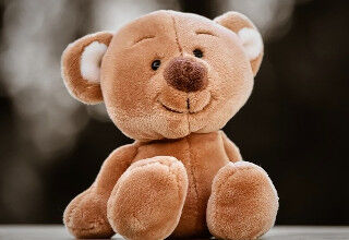 【サッカー】<モロッコ代表のハリルホジッチ監督>メンバー選考に「代表チームに敬意がなければ選ばれない」  [Egg★]