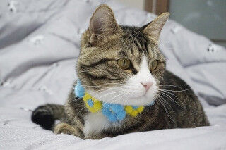 【速報】 久保怜音(18)武藤十夢のおしめしが○○すぎるwwwwwwwwwwww