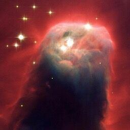 【芸能】森七菜、契約解除を申し出は昨年１２月。今回の性急な移籍は、円満ではなく森サイドの強硬な意向か