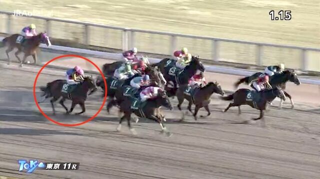 【根岸S】10着ステルヴィオ横山武史「やはり芝の方が良さそうです」