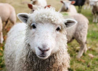 素人JK、フレッシュボディを惜しげもなく見せつけるww