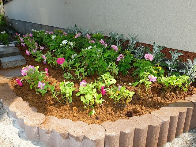 粘土質の庭の土を改良する方法 する方法