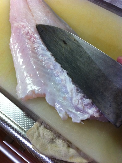 鱸の捌き方 其の参 Seaside Squad 鱸の捌き方 其の参 Seaside Squad