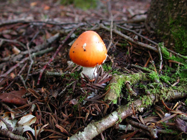 1f72637f.jpg