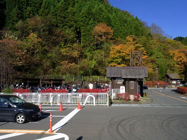 3a03d742.jpg