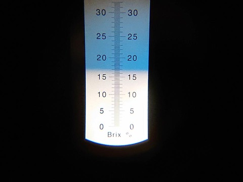26