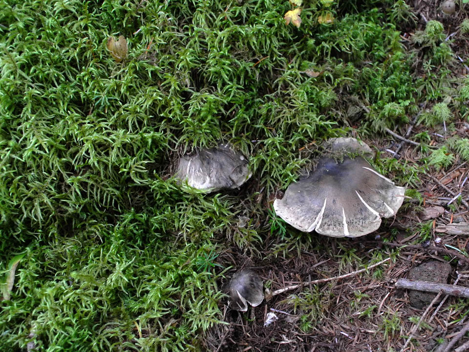 5d2246f1.jpg