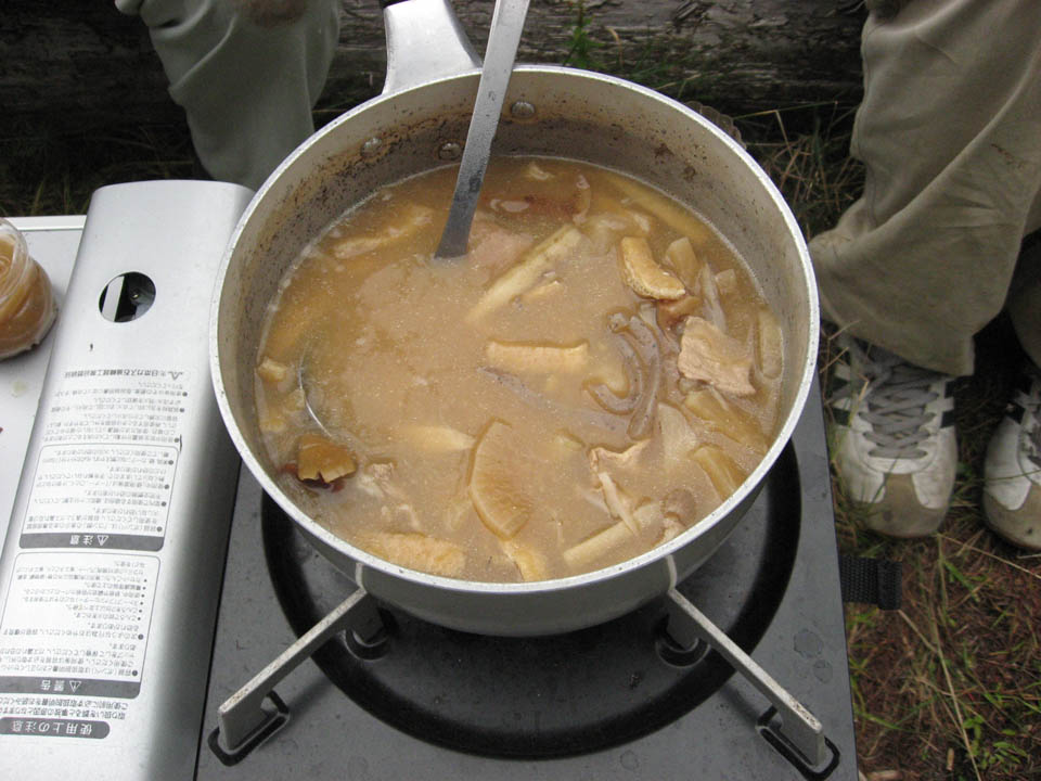 73f08c44.jpg