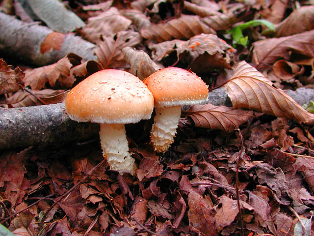 754b5c5f.jpg