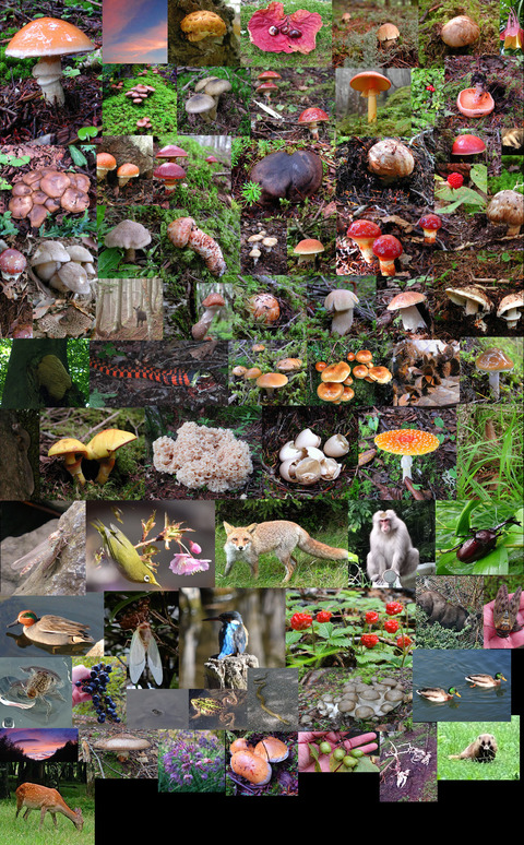 topb コピーh.jpg2025 コピー