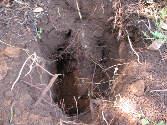 b4592b02.jpg