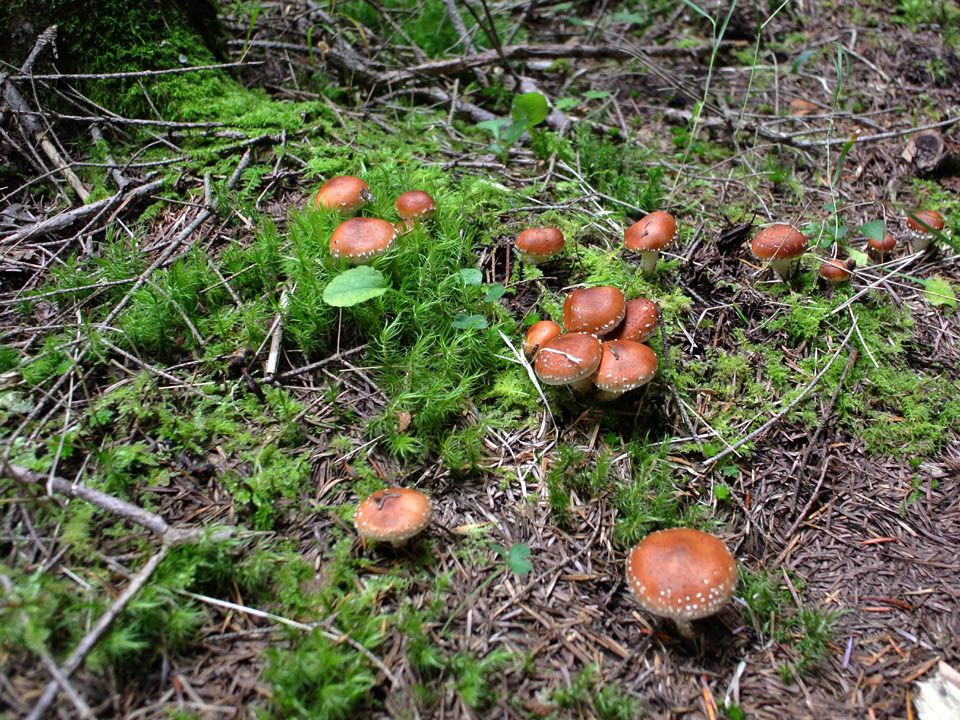 b56e7605.jpg