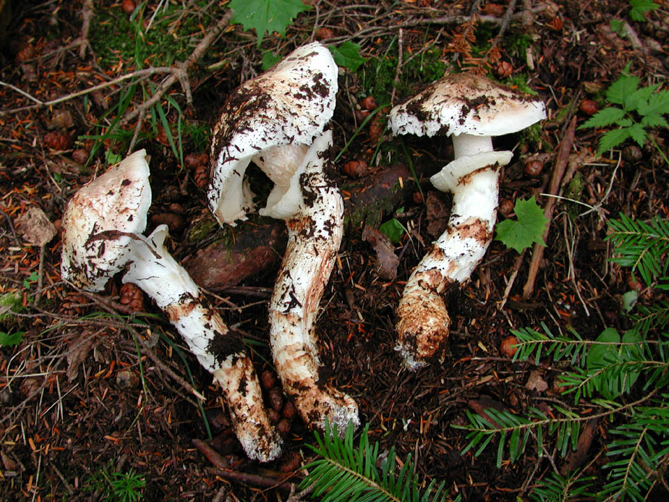 c02478da.jpg