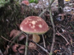 cba8273f.jpg