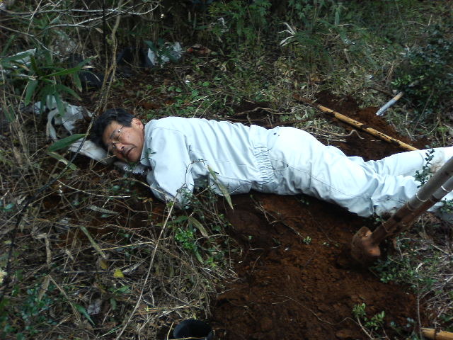 cd608d5c.jpg