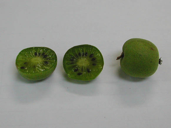ddb96aef.jpg