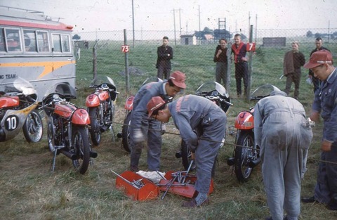 paddock
