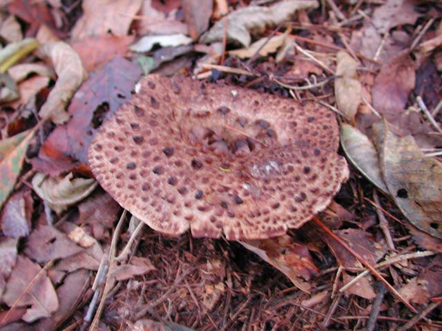 e9b13122.jpg